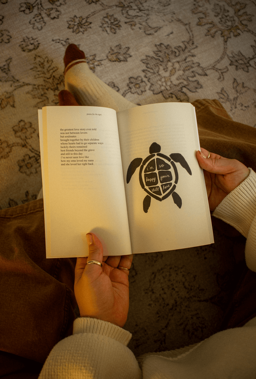 Poems for the Signs Poetry Book